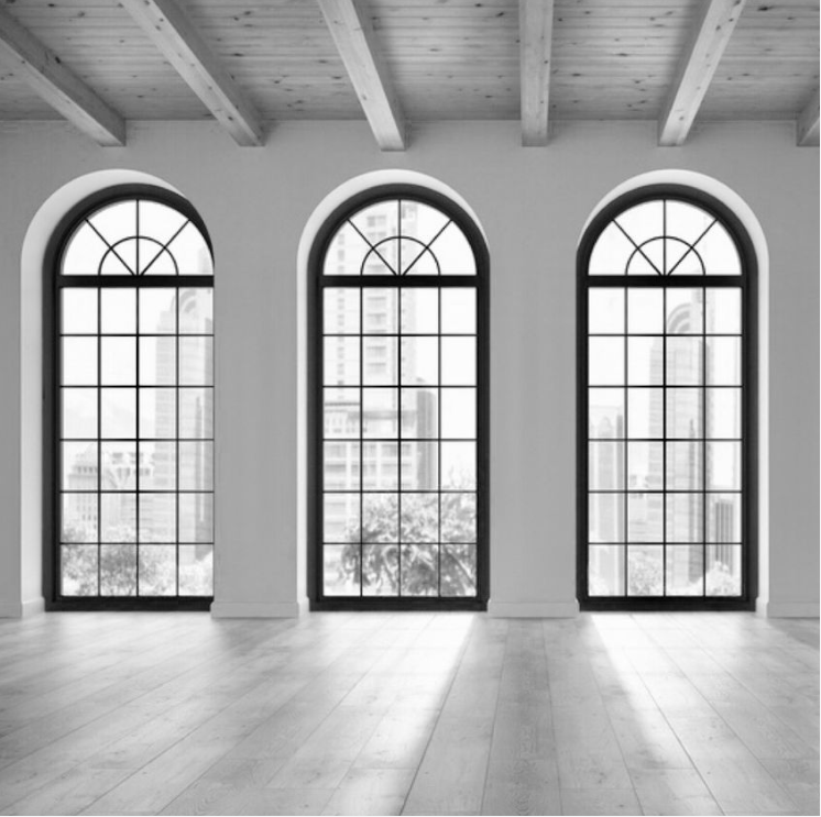 USA popular Break Steel Triple Tempered Glass Steel Window Crittal Window Steel Door