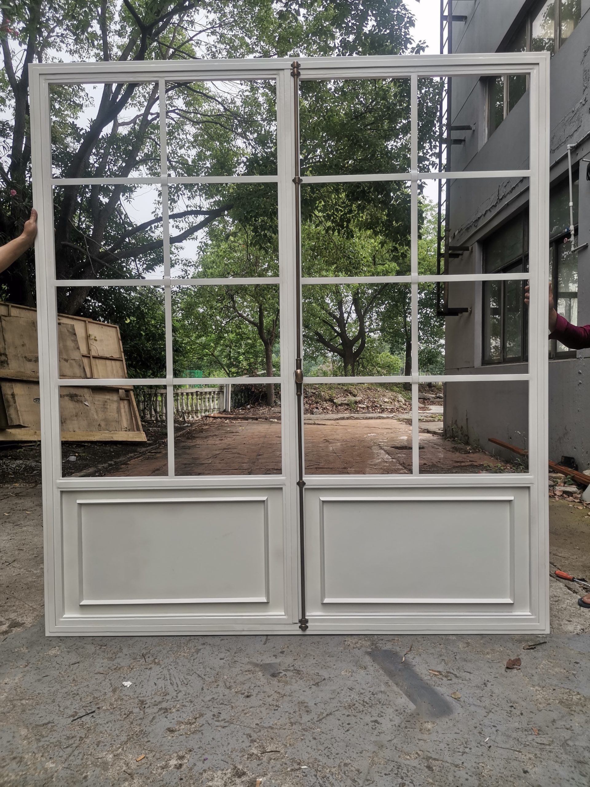 Steel door with lowE glass